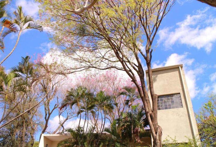 اتاق استاندارد با تخت بزرگ, De La Mora Hostal