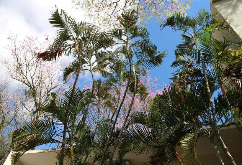 اتاق استاندارد, De La Mora Hostal