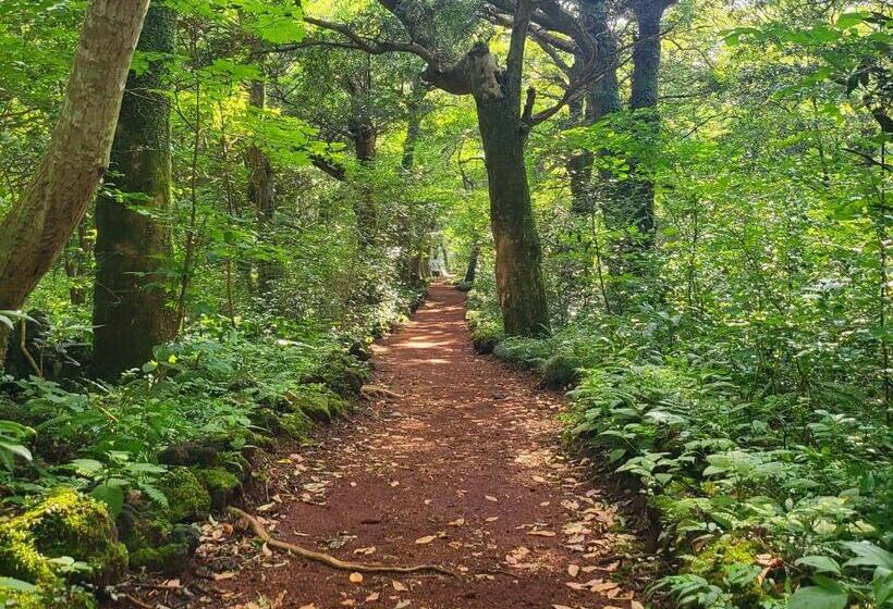 בית, חדר שינה 1, There Bengdi