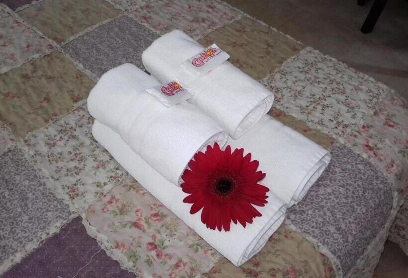 Standaard Studio, Apart Colonial