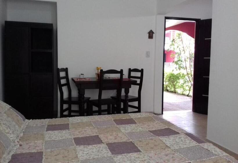 Standaard Studio, Apart Colonial