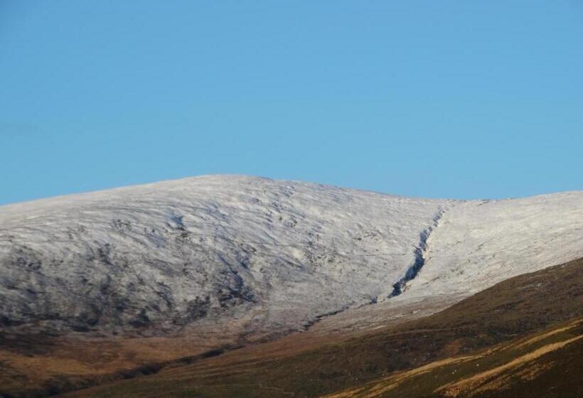 חדר סטנדרט עם מיטת קינג, Dunlavin House   Aidan Obrien