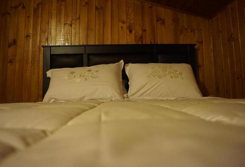 اتاق استاندارد, Hospedaje Amapola