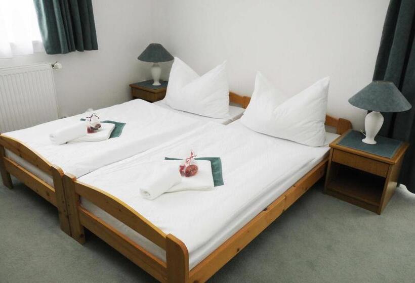 Номер Стандарт, Horský Pension Gendorf