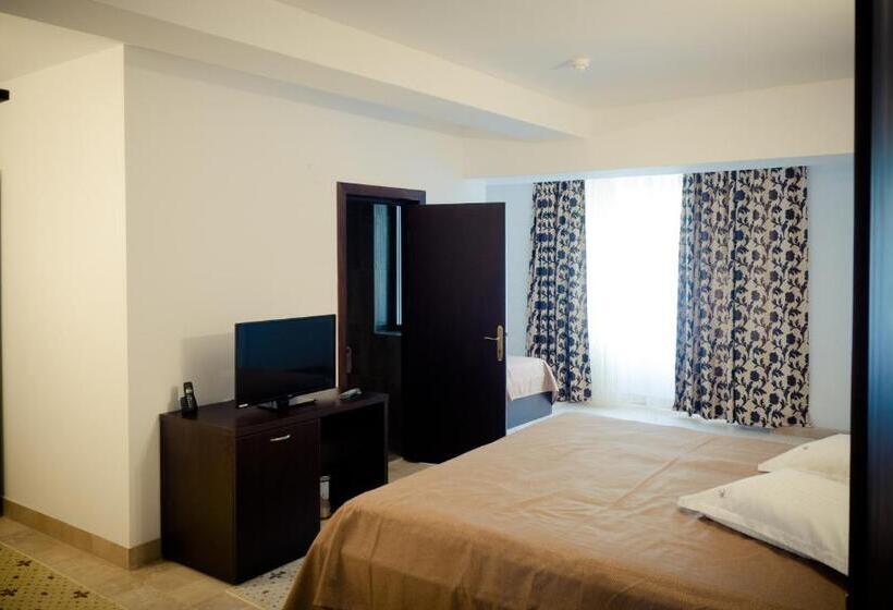 スタンダードルーム, Ciobanasu