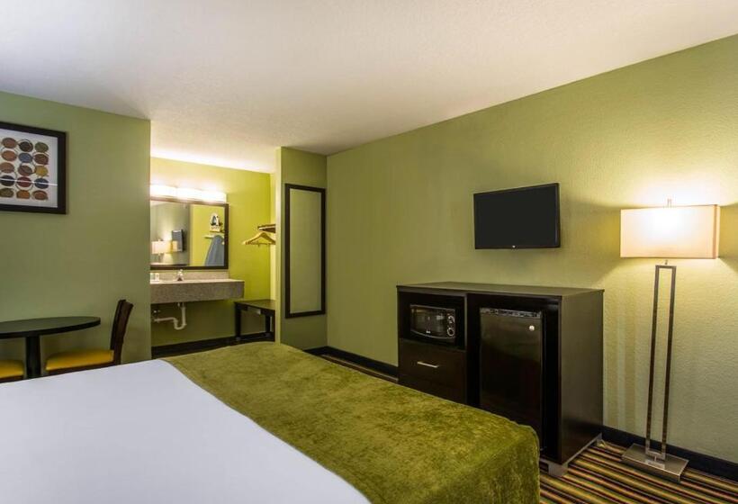 Номер Стандарт, Sunset Palm