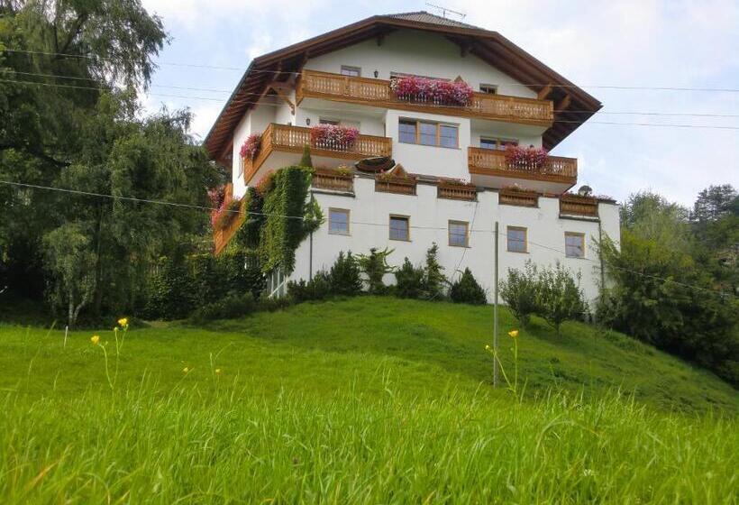 带1个卧室带观景的公寓, Nature Residence Telfnerhof