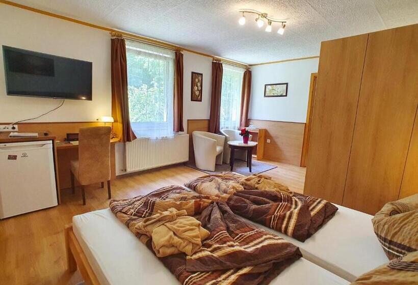 标准间, Hévíz Villa Familia