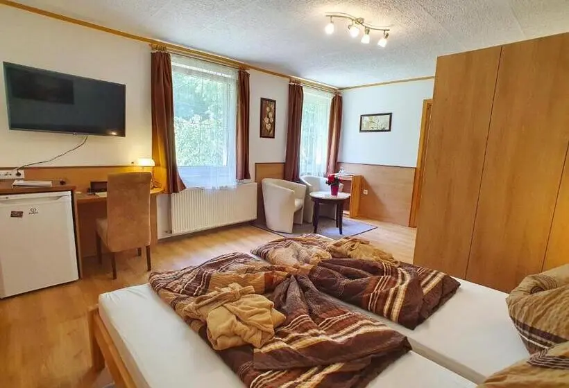 Standard-huone, Hévíz Villa Familia