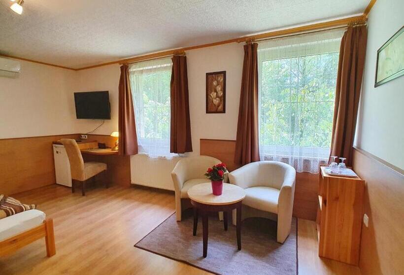 标准间, Hévíz Villa Familia