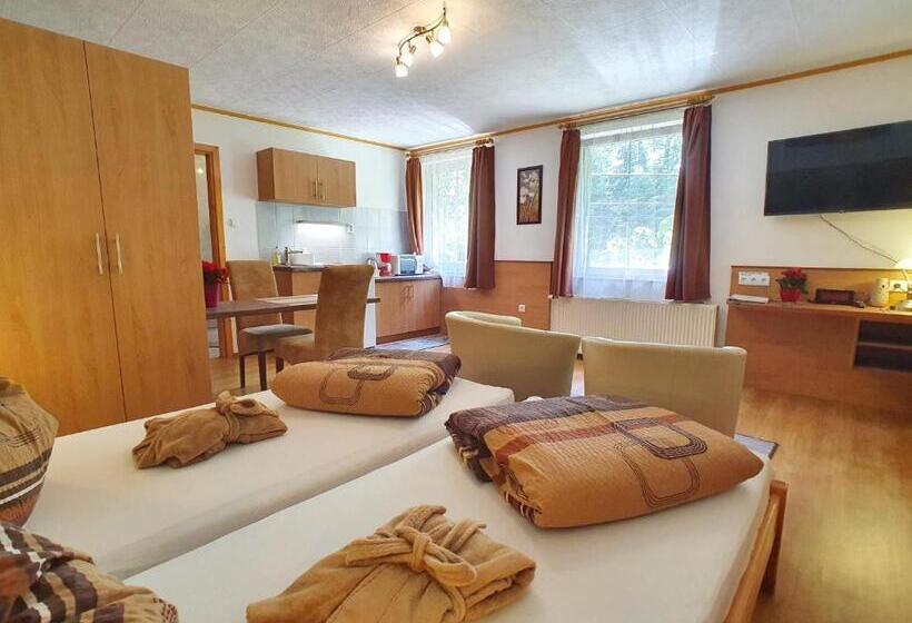 标准工作室, Hévíz Villa Familia