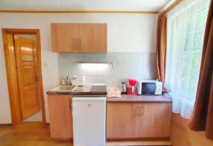 标准工作室, Hévíz Villa Familia