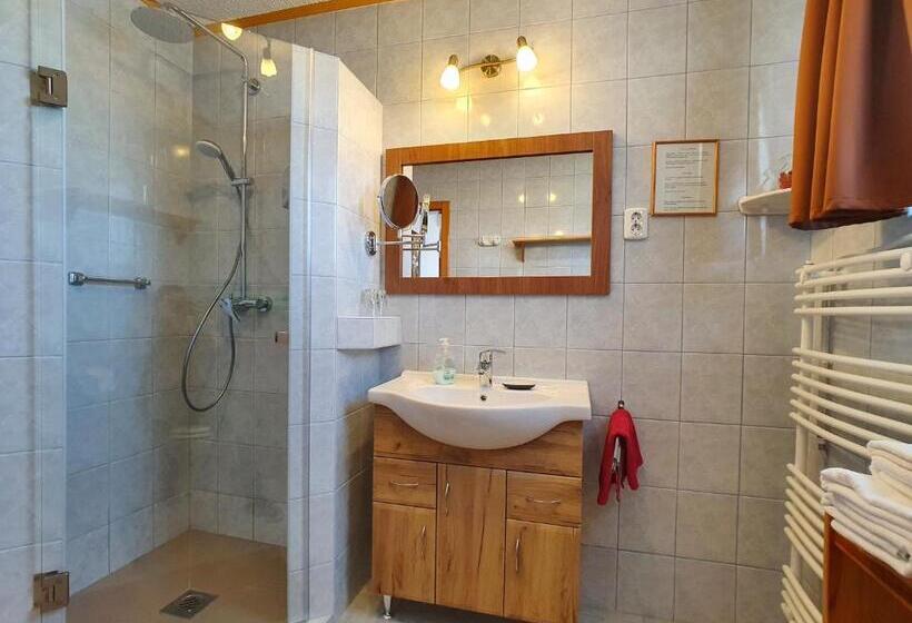 标准间带阳台, Hévíz Villa Familia