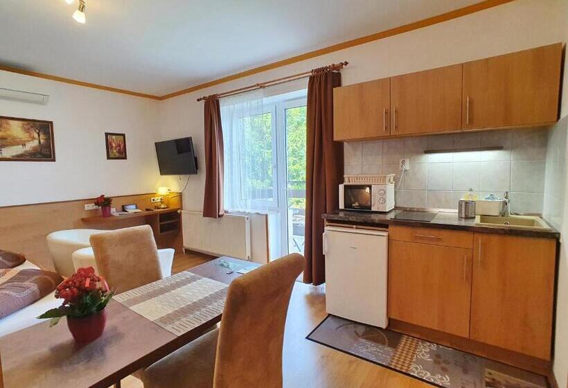 标准工作室带阳台, Hévíz Villa Familia