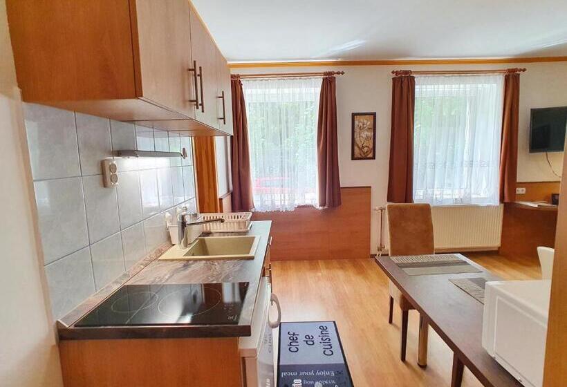 标准工作室, Hévíz Villa Familia