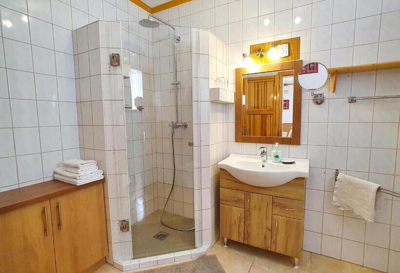 标准工作室, Hévíz Villa Familia