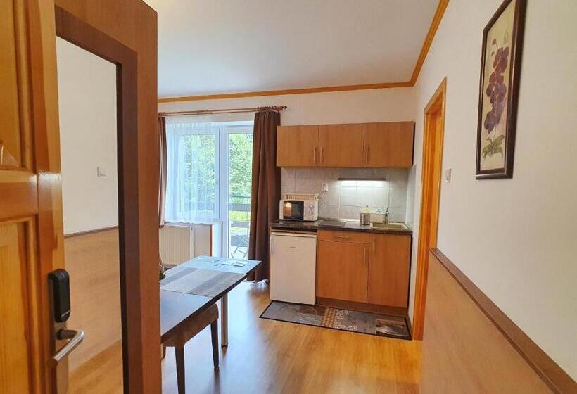 标准工作室带阳台, Hévíz Villa Familia