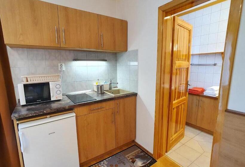 标准工作室带阳台, Hévíz Villa Familia