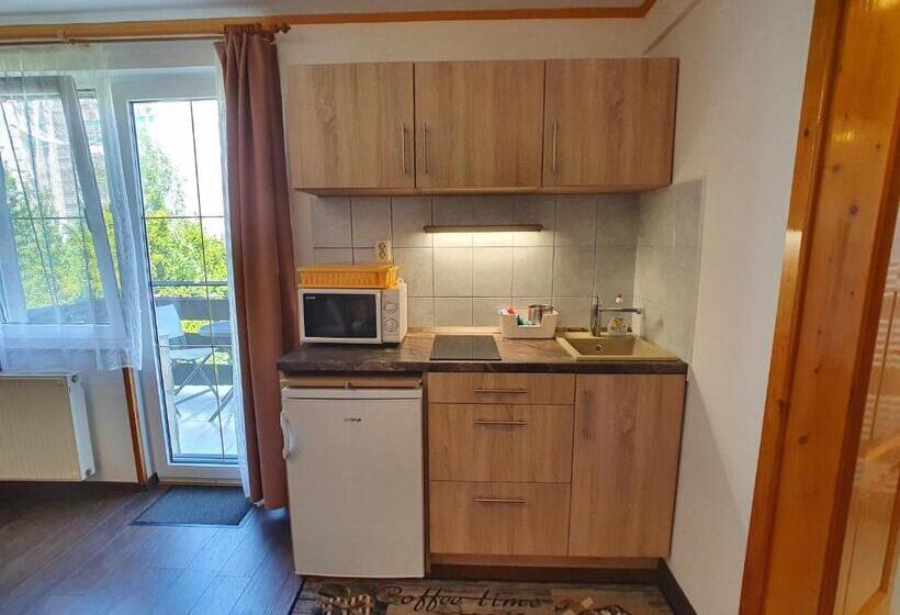 标准工作室带阳台, Hévíz Villa Familia