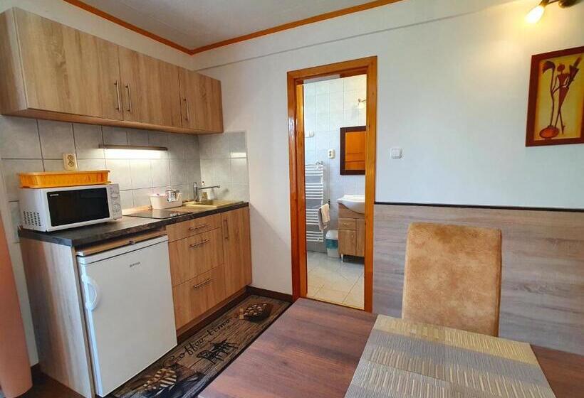 标准工作室带阳台, Hévíz Villa Familia