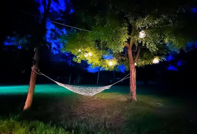 Вилла с 1 спальней и бассейном, Willow Farm   Sohna  Gurgoan Road