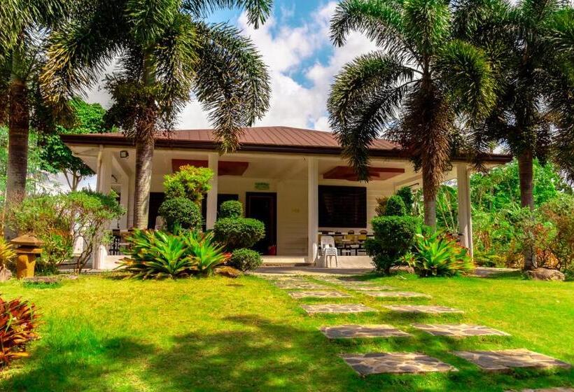 בקתה סטנדרטית, Patio Buendia Farm Resort And Events Place