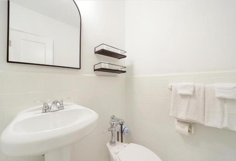آپارتمان سوپریور 1 خوابه, Tropics Hotel Miami Beach
