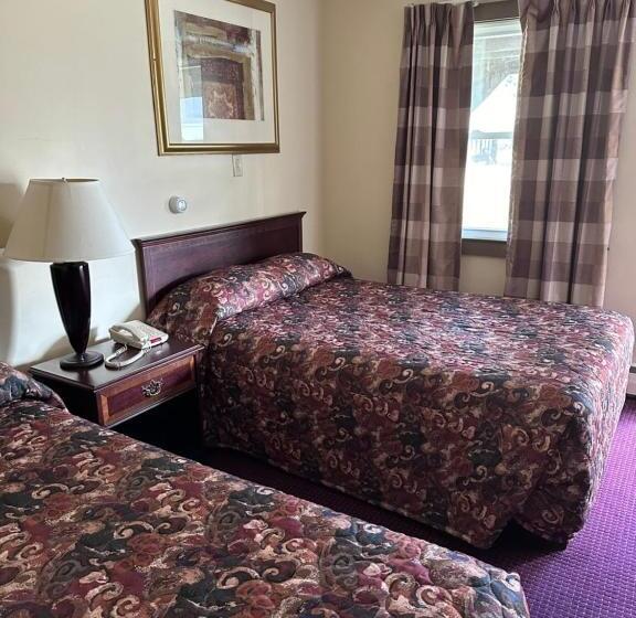 غرفة ديلوكس مطلّة علي الحديقة, Village Motel