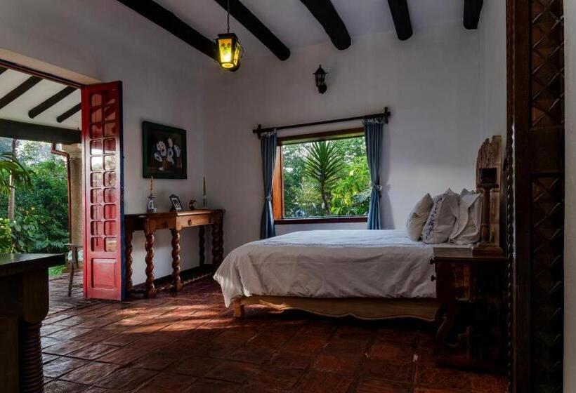 Номер Стандарт Вид на Сад, Hacienda Coloma