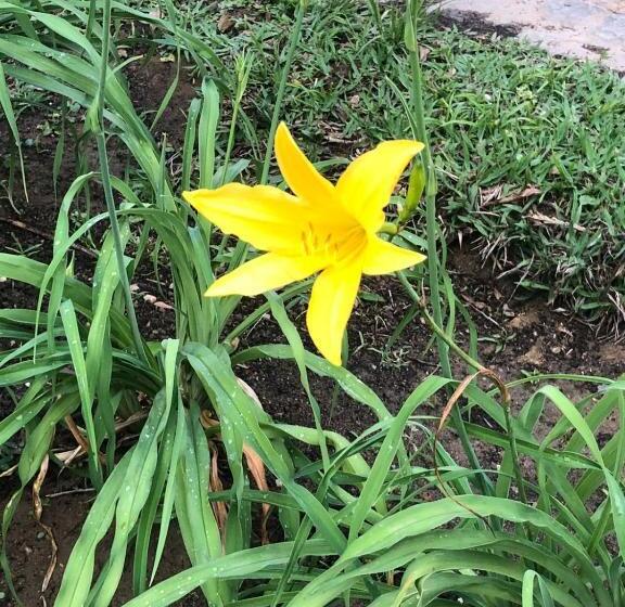 스탠다드 룸, Acomodações Gaia Magia