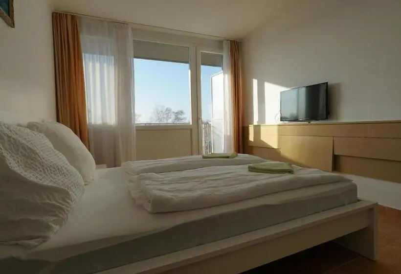 バルコニー付きスタンダードルーム, Plazs Hotel Siófok