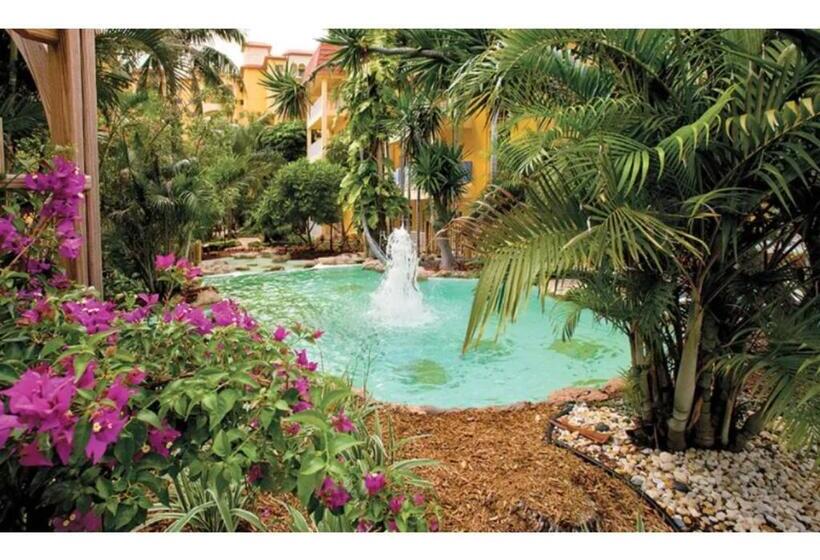 Студия Стандарт Вид на Море, Discover The Charm And The Sea Gardens, An Exceptional Gold Coast Studio Condo Retreat Special Off