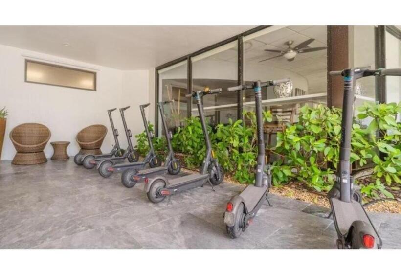 Студия Стандарт Вид на Море, Discover The Charm And The Sea Gardens, An Exceptional Gold Coast Studio Condo Retreat   Special Off