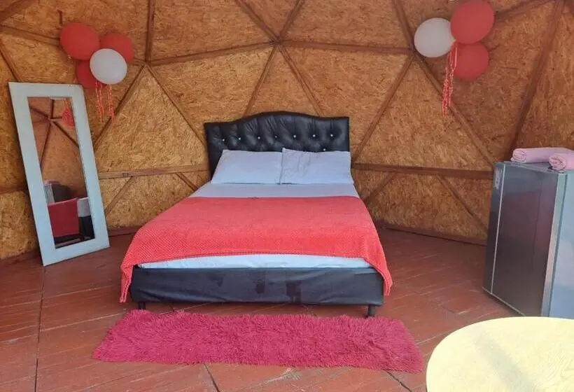 Presidenttisviitti, Glamping Horse