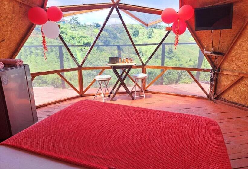 总统套房, Glamping Horse