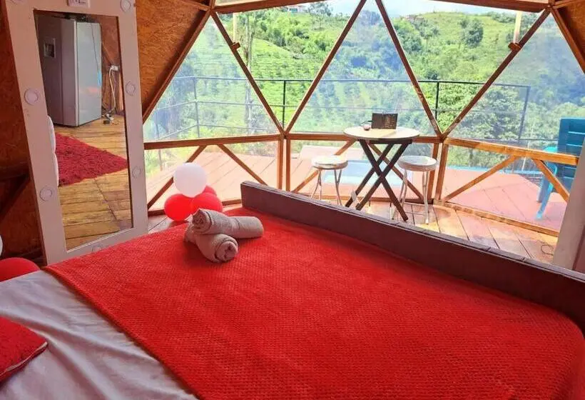 Superior-sviitti, Glamping Horse