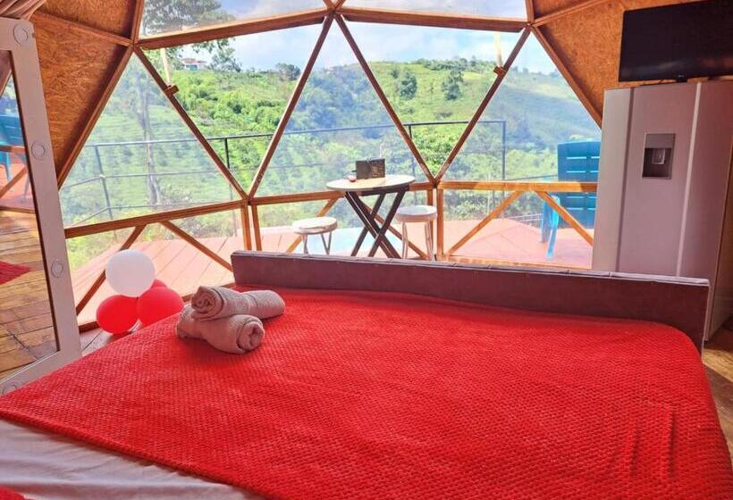 高级套房, Glamping Horse