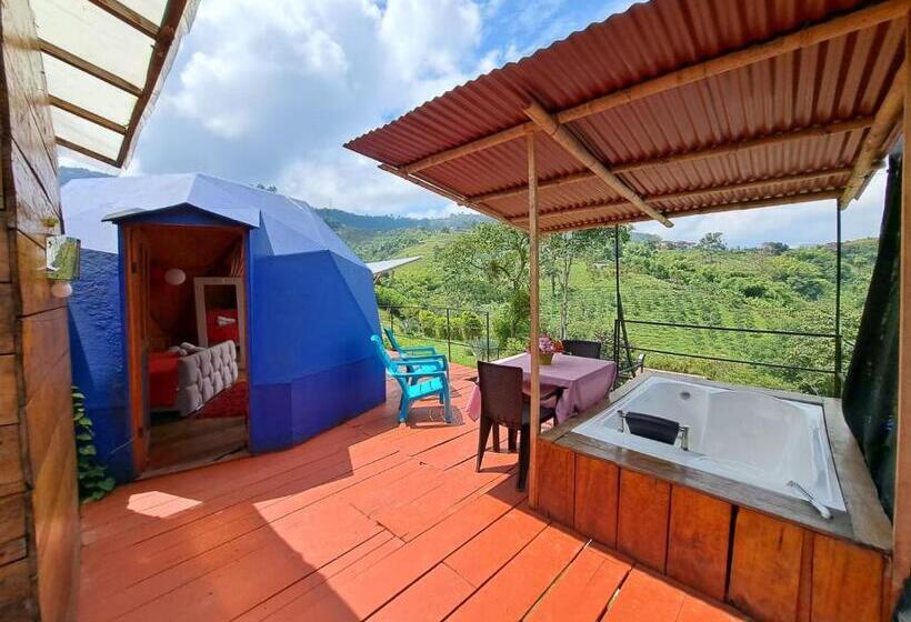 高级套房, Glamping Horse