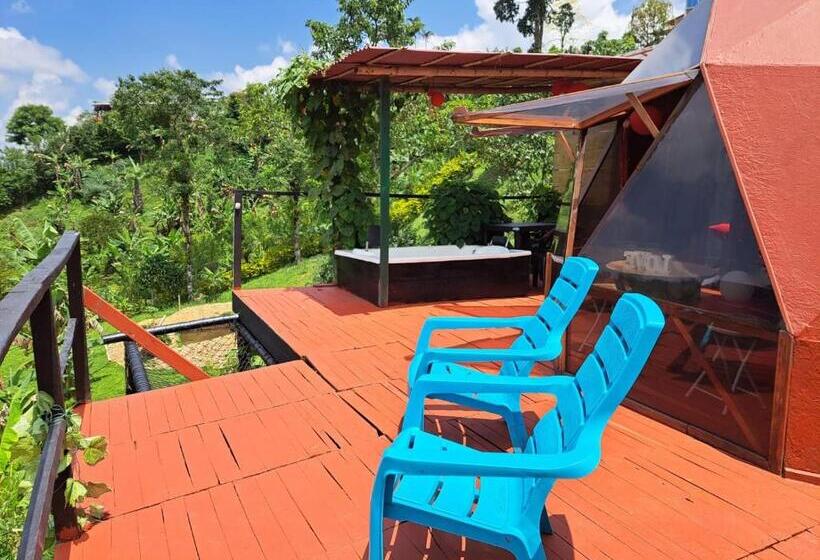 豪华套房, Glamping Horse