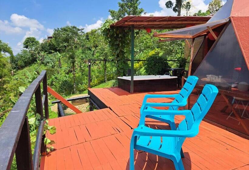 豪华套房, Glamping Horse