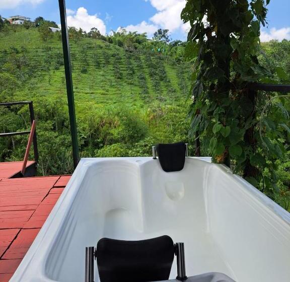 豪华套房, Glamping Horse