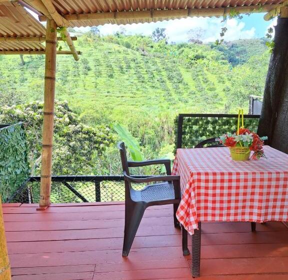 带露台的套间, Glamping Horse