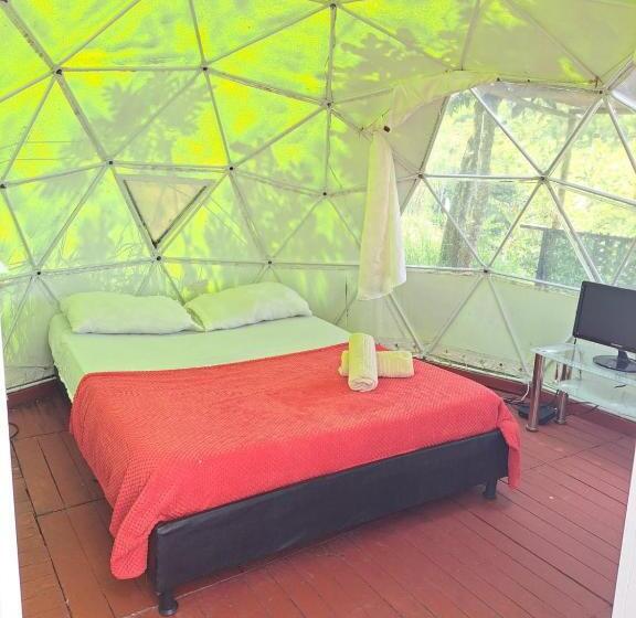 带露台的套间, Glamping Horse