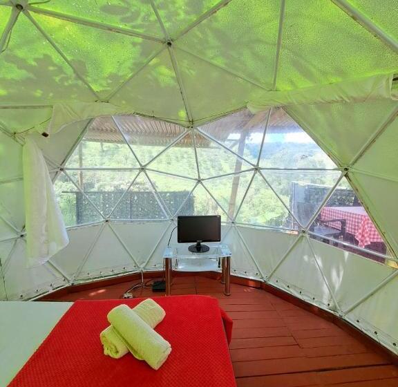 테라스 스위트, Glamping Horse