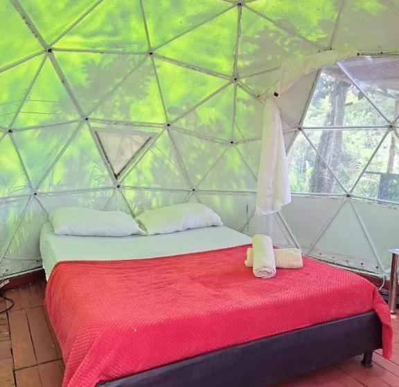 带露台的套间, Glamping Horse