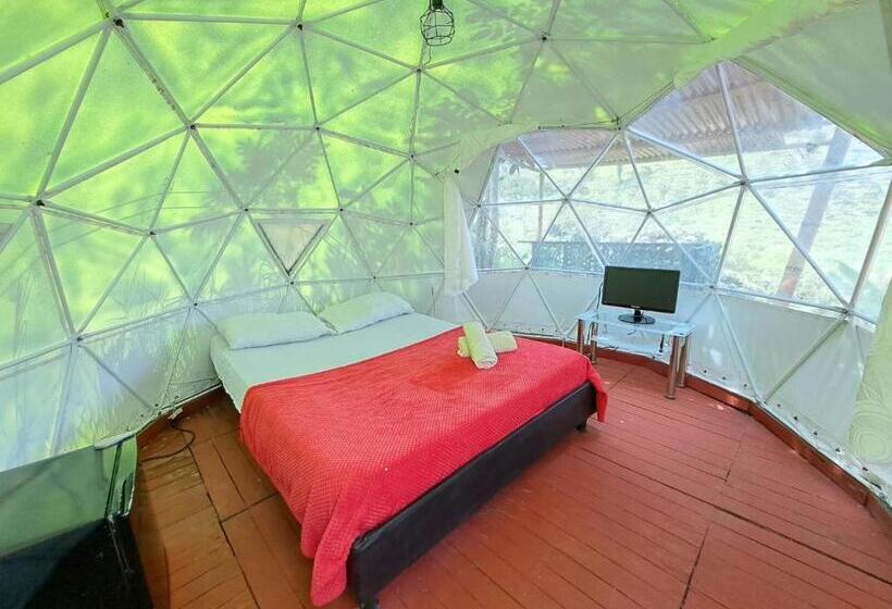 带露台的套间, Glamping Horse