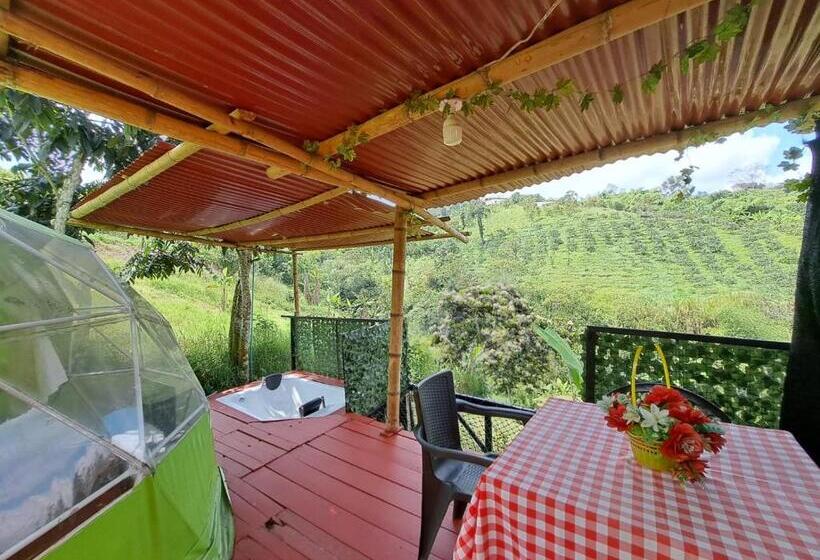 带露台的套间, Glamping Horse