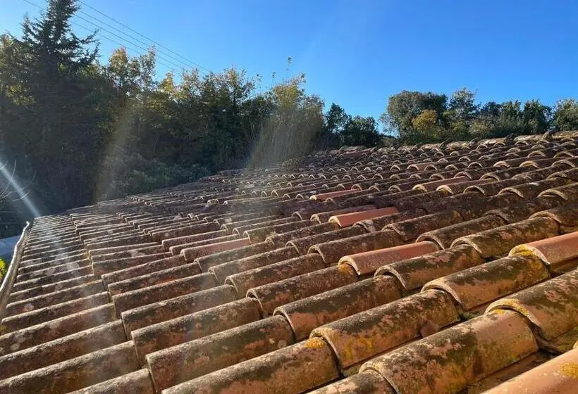 スタンダードシングルルーム, Affittacamere La Casella Monteriggioni