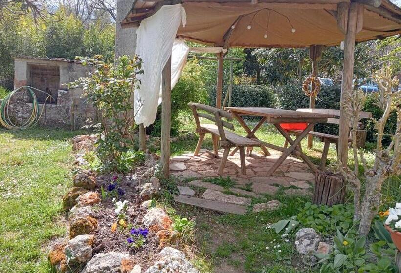 اتاق استاندارد یک نفره, Affittacamere La Casella Monteriggioni
