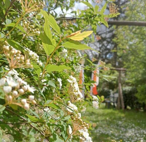 غرفة قياسية فردية, Affittacamere La Casella Monteriggioni